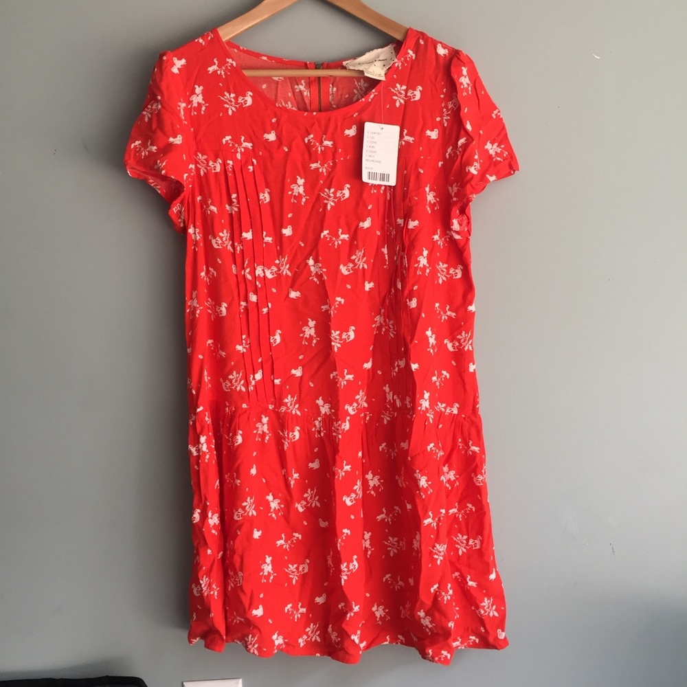 NWT Coincidence Chance squirrel dress large Cute!